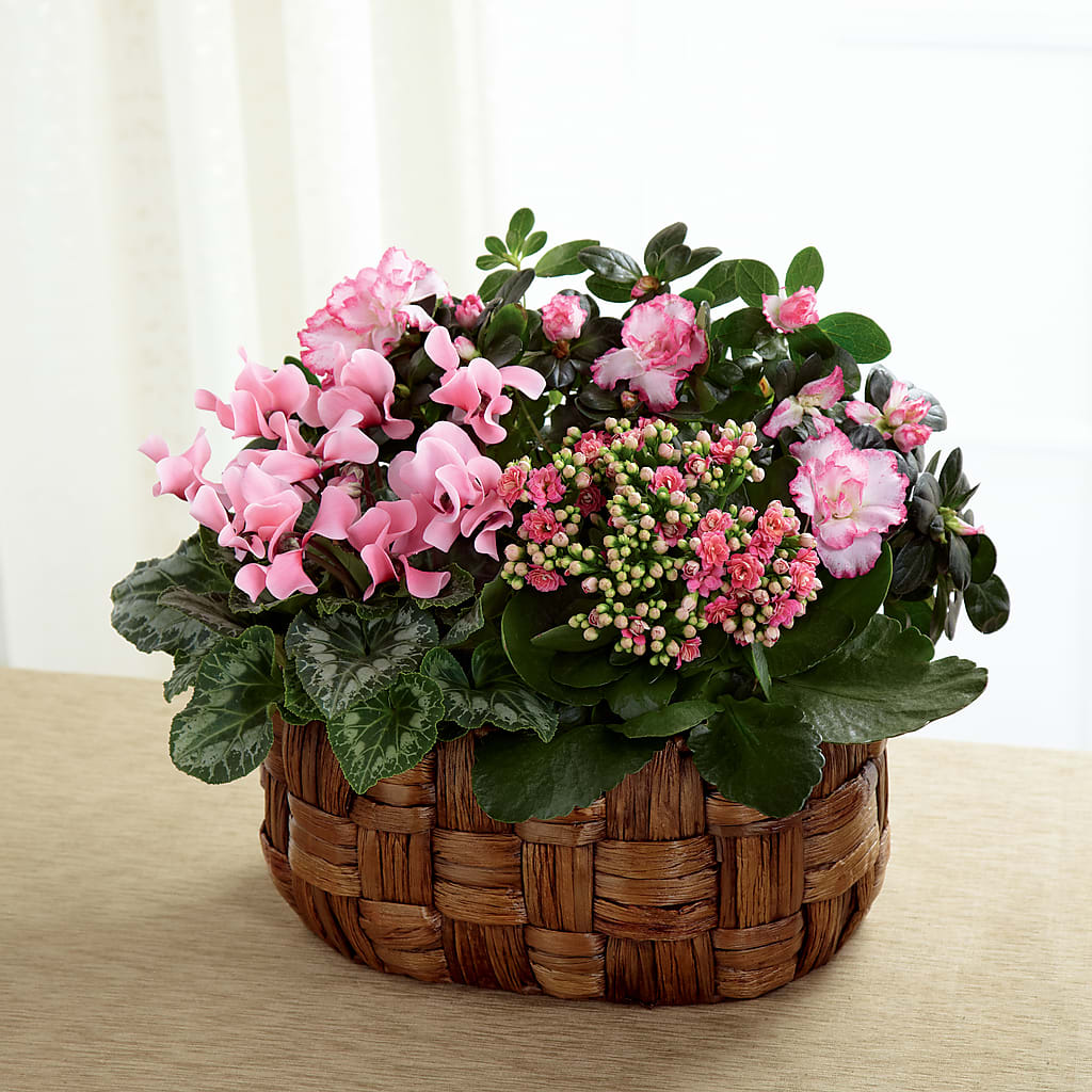 Pink Assortment – KATHY'S FLOWERS, Adair OK
