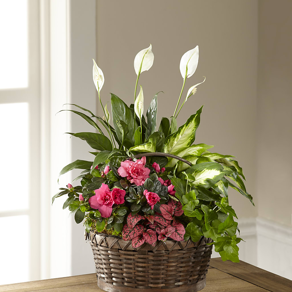 Dream in Pink Dishgarden – KATHY'S FLOWERS, Adair OK