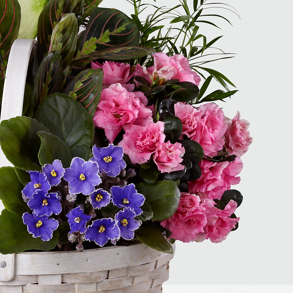 Peaceful Garden Planter – KATHY'S FLOWERS, Adair OK