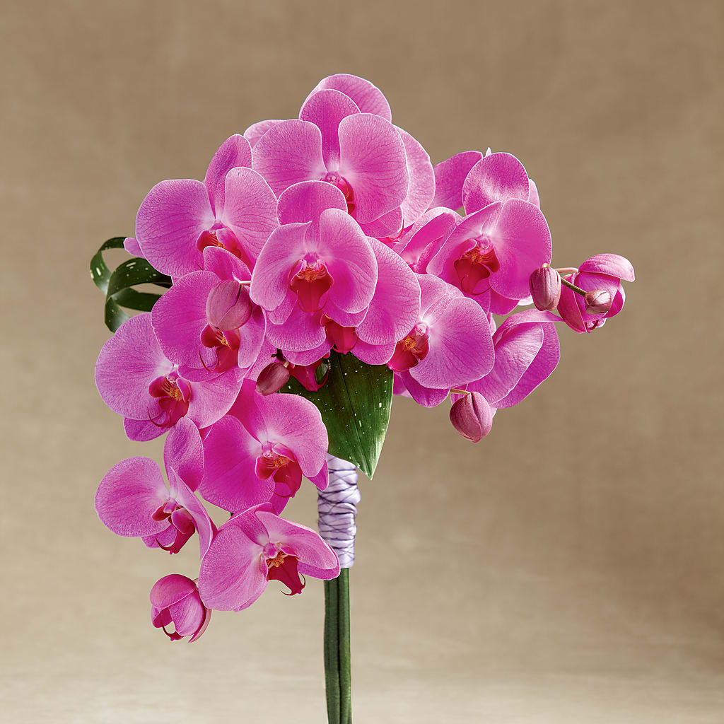 Glorious Bouquet – KATHY'S FLOWERS, Adair OK