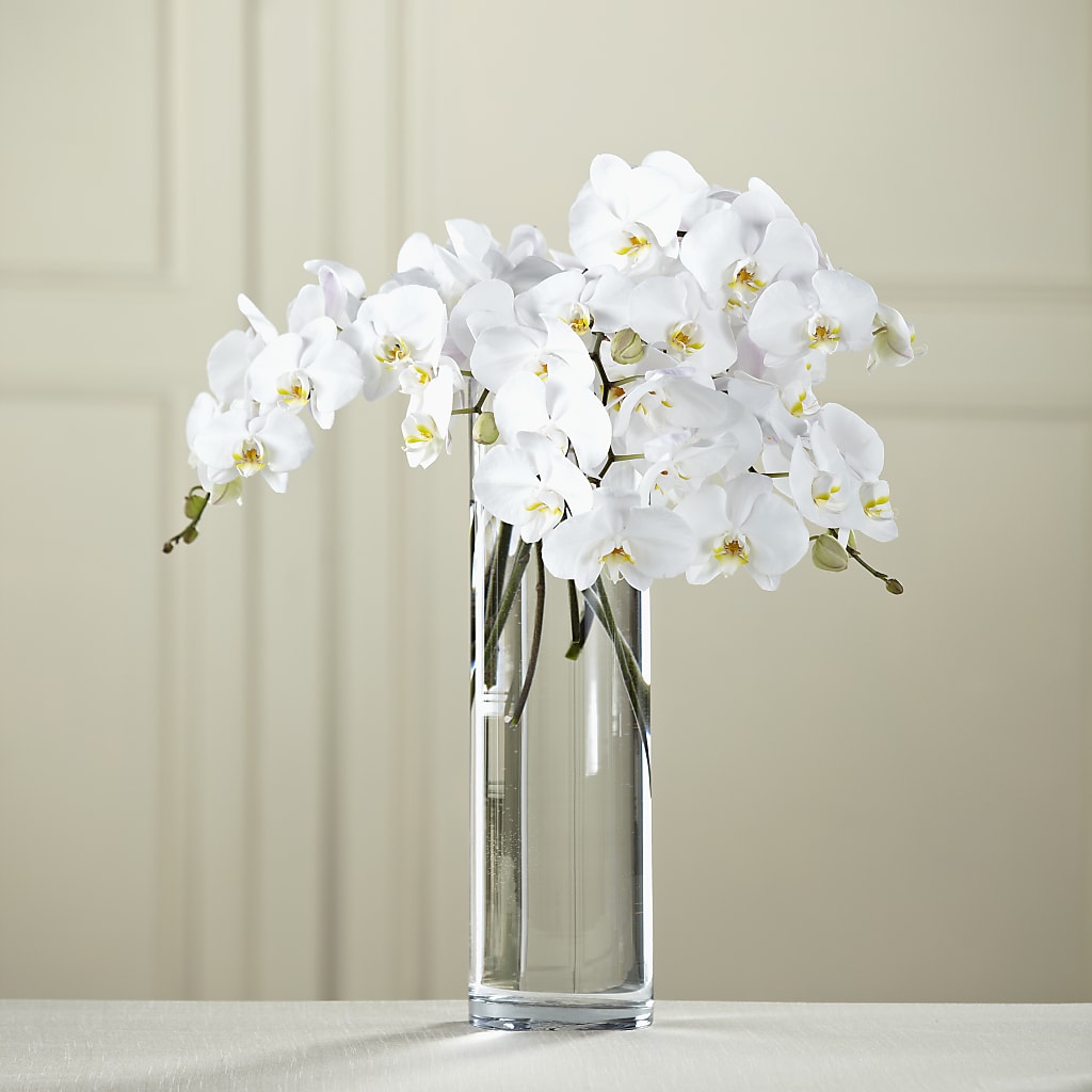 White Phalaenopsis Bouquet – KATHY'S FLOWERS, Adair OK