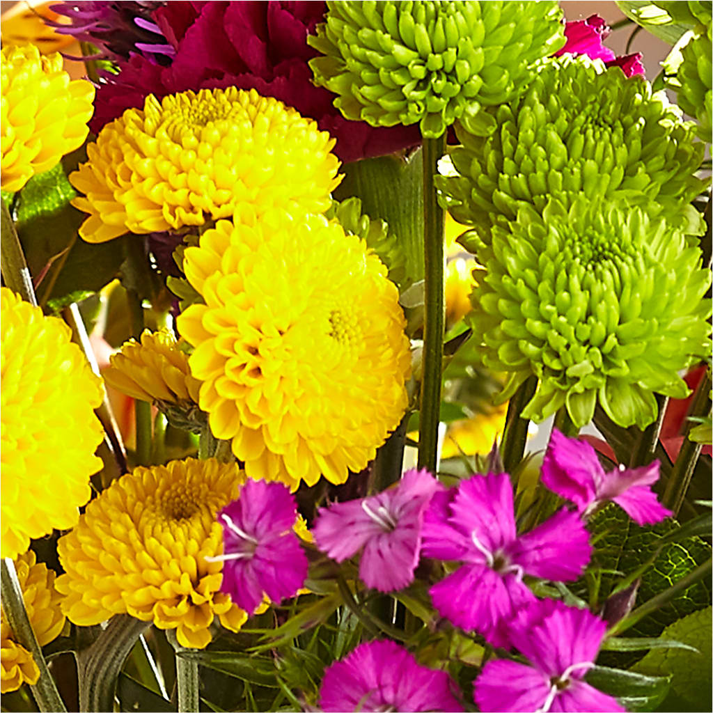 Bold & Bright – A Florist Original – KATHY'S FLOWERS, Adair OK