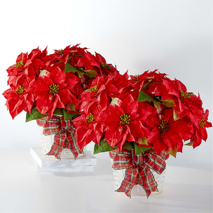 Happiest Holidays Poinsettia Bundle – KATHY'S FLOWERS, Adair OK