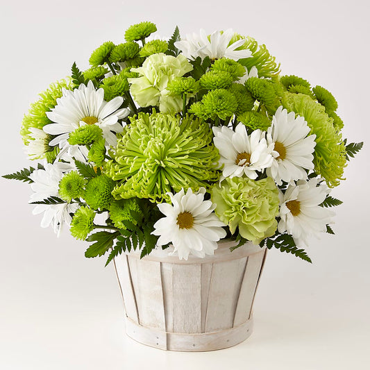 Lucky Charm Basket (Standard) – KATHY'S FLOWERS, Adair OK