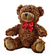 Adorable Plush Bear – KATHY'S FLOWERS, Adair OK