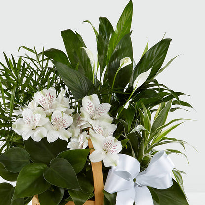 Peace & Serenity Dishgarden – KATHY'S FLOWERS, Adair OK