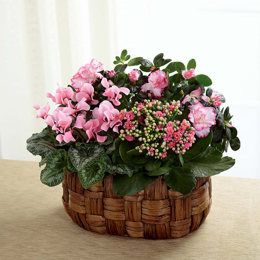 Pink Assortment – KATHY'S FLOWERS, Adair OK