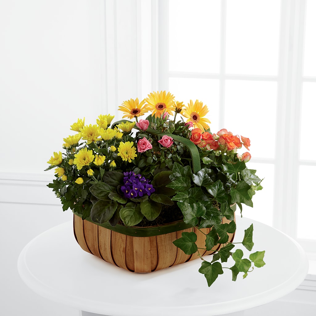 Gentle Blossoms Basket – KATHY'S FLOWERS, Adair OK