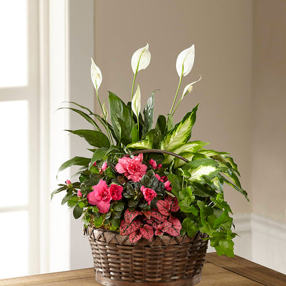 Dream in Pink Dishgarden – KATHY'S FLOWERS, Adair OK