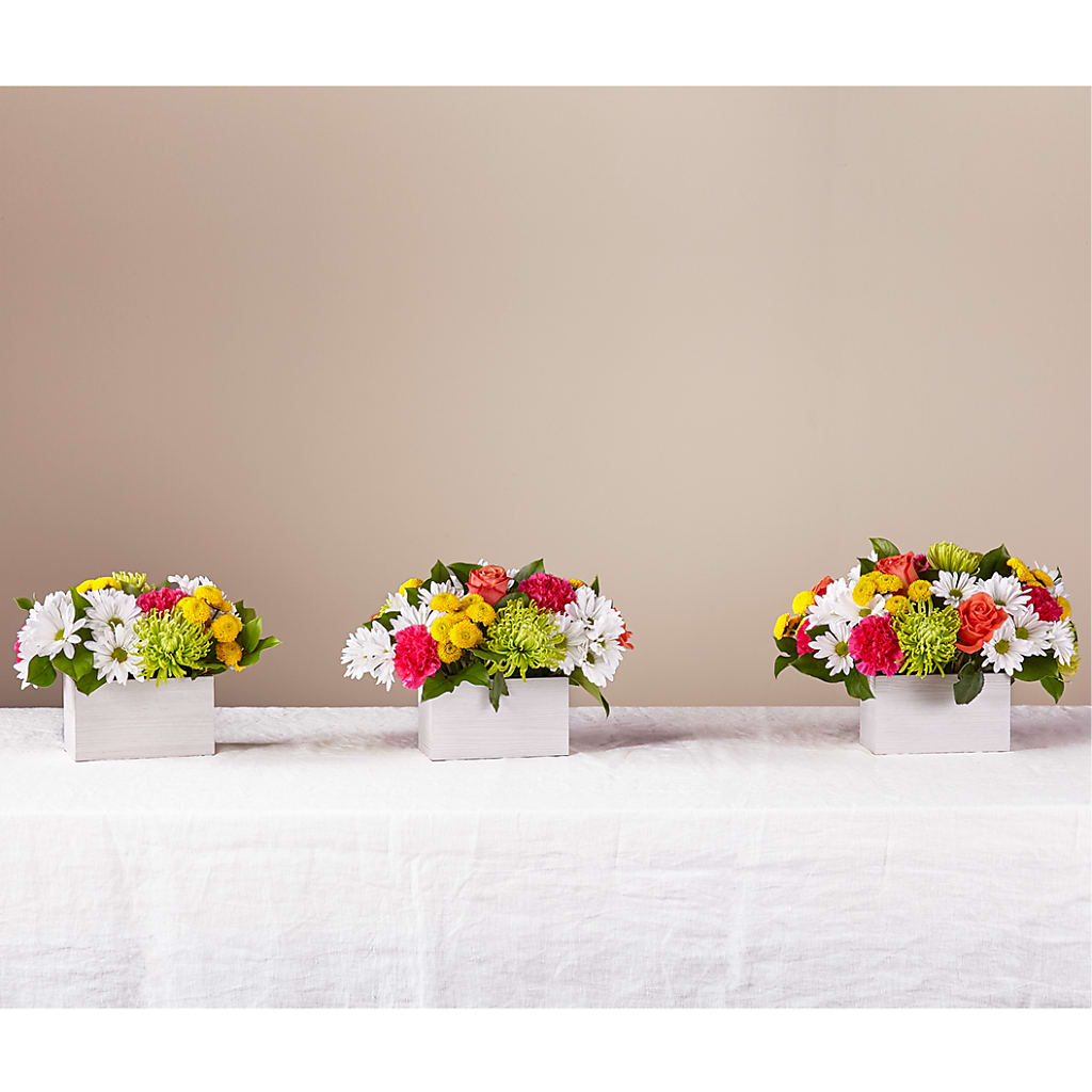 Sorbet Bouquet – KATHY'S FLOWERS, Adair OK