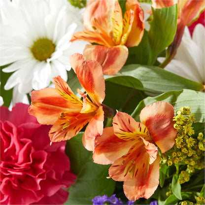 Oopsie Daisy Box Bouquet – KATHY'S FLOWERS, Adair OK