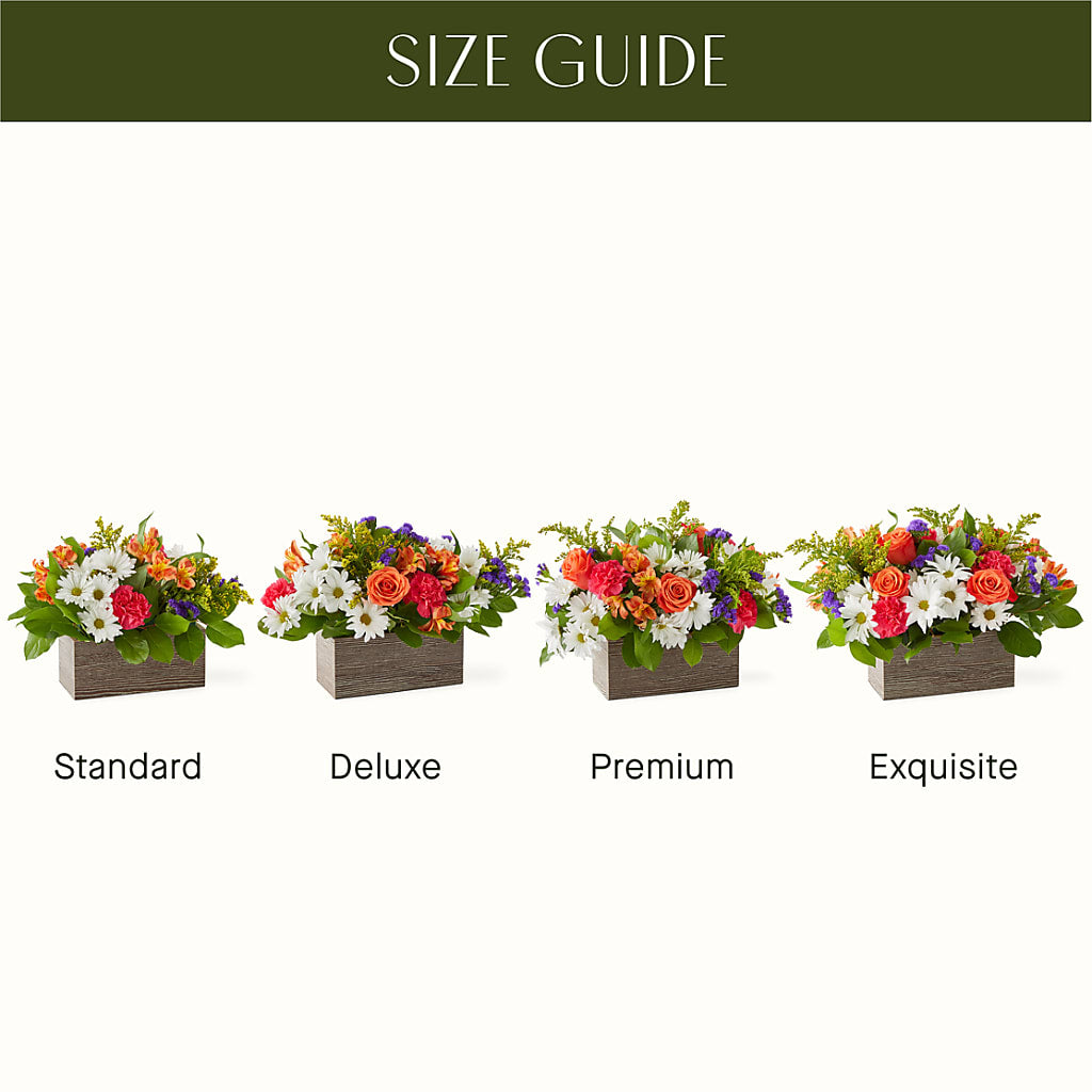 Oopsie Daisy Box Bouquet – KATHY'S FLOWERS, Adair OK