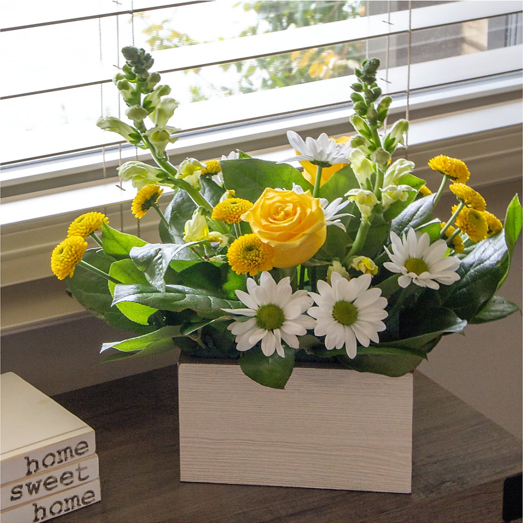 Sun Salutation Box Bouquet – KATHY'S FLOWERS, Adair OK