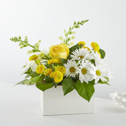 Sun Salutation Box Bouquet – KATHY'S FLOWERS, Adair OK
