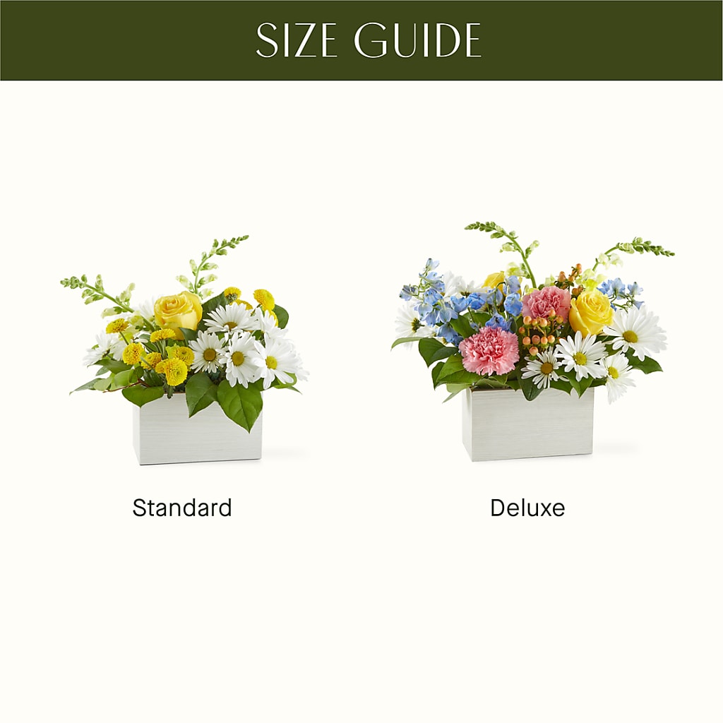 Sun Salutation Box Bouquet – KATHY'S FLOWERS, Adair OK