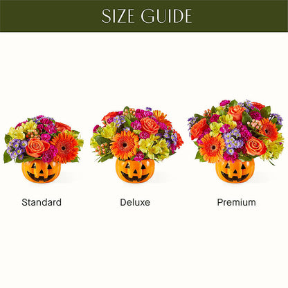 Tricks & Treats Pumpkin – KATHY'S FLOWERS, Adair OK