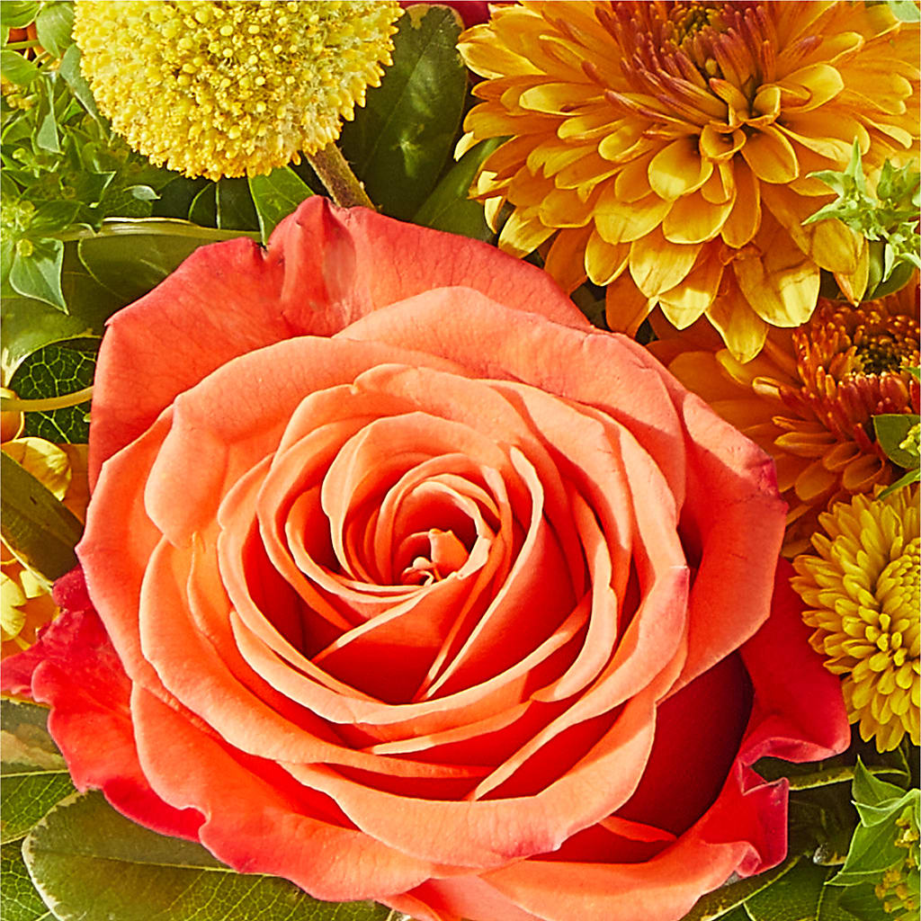 Gourdgeous Pumpkin – KATHY'S FLOWERS, Adair OK