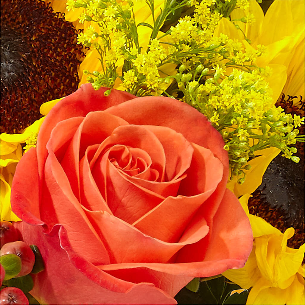 Pick of the Patch Pumpkin Bouquet – KATHY'S FLOWERS, Adair OK