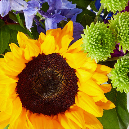 Catching Rays Bouquet – KATHY'S FLOWERS, Adair OK