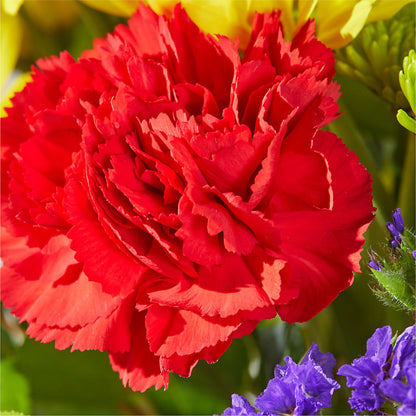 Brighter Days Bouquet – KATHY'S FLOWERS, Adair OK