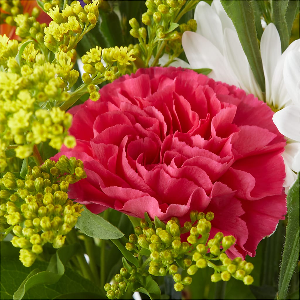 Oopsie Daisy Bouquet – KATHY'S FLOWERS, Adair OK