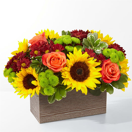 Happy Harvest Garden – KATHY'S FLOWERS, Adair OK