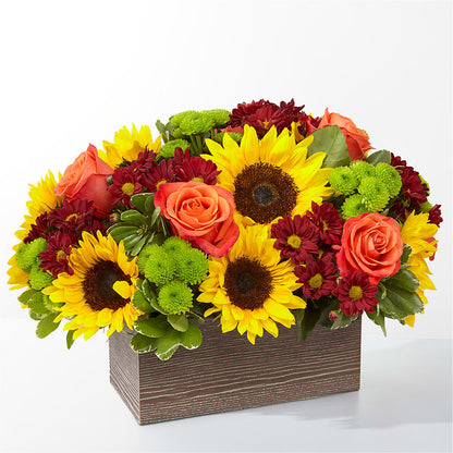Happy Harvest Garden – KATHY'S FLOWERS, Adair OK
