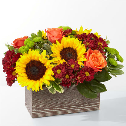 Happy Harvest Garden – KATHY'S FLOWERS, Adair OK