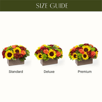 Happy Harvest Garden – KATHY'S FLOWERS, Adair OK