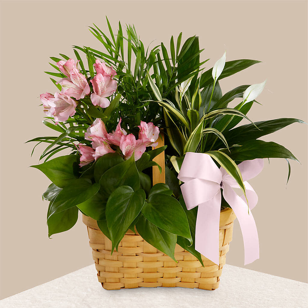 Living Spirit Dishgarden – KATHY'S FLOWERS, Adair OK
