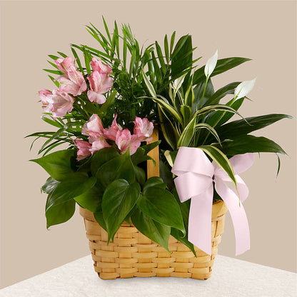 Living Spirit Dishgarden – KATHY'S FLOWERS, Adair OK