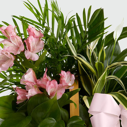 Living Spirit Dishgarden – KATHY'S FLOWERS, Adair OK