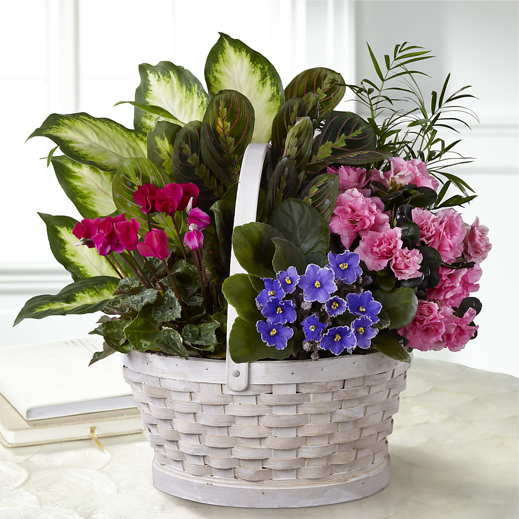 Peaceful Garden Planter – KATHY'S FLOWERS, Adair OK