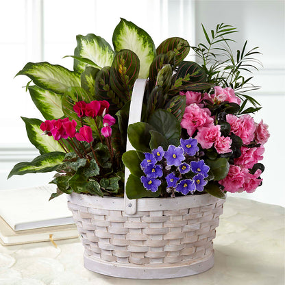 Peaceful Garden Planter – KATHY'S FLOWERS, Adair OK