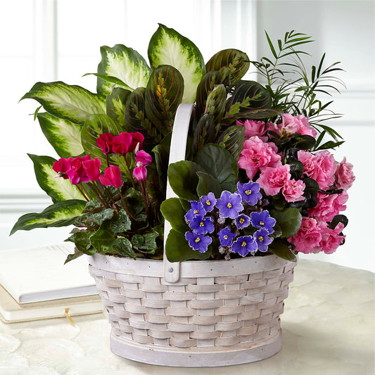 Peaceful Garden Planter – KATHY'S FLOWERS, Adair OK