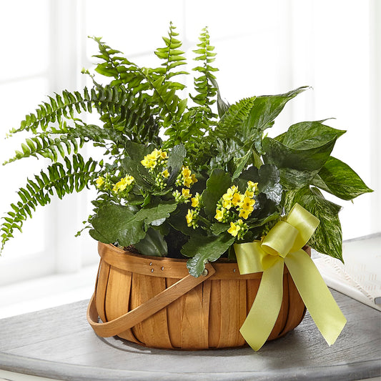 Always Dear Dishgarden – KATHY'S FLOWERS, Adair OK