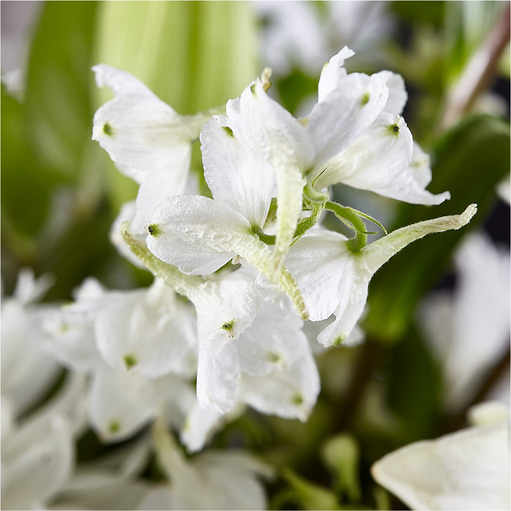 Classic Ivory – A Florist Original – KATHY'S FLOWERS, Adair OK