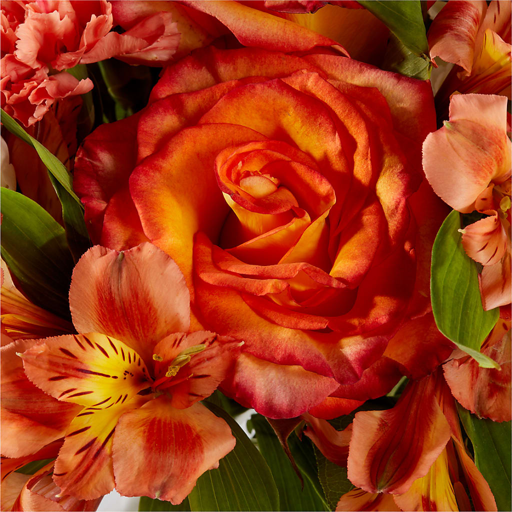 Apricot Glow Bouquet – KATHY'S FLOWERS, Adair OK