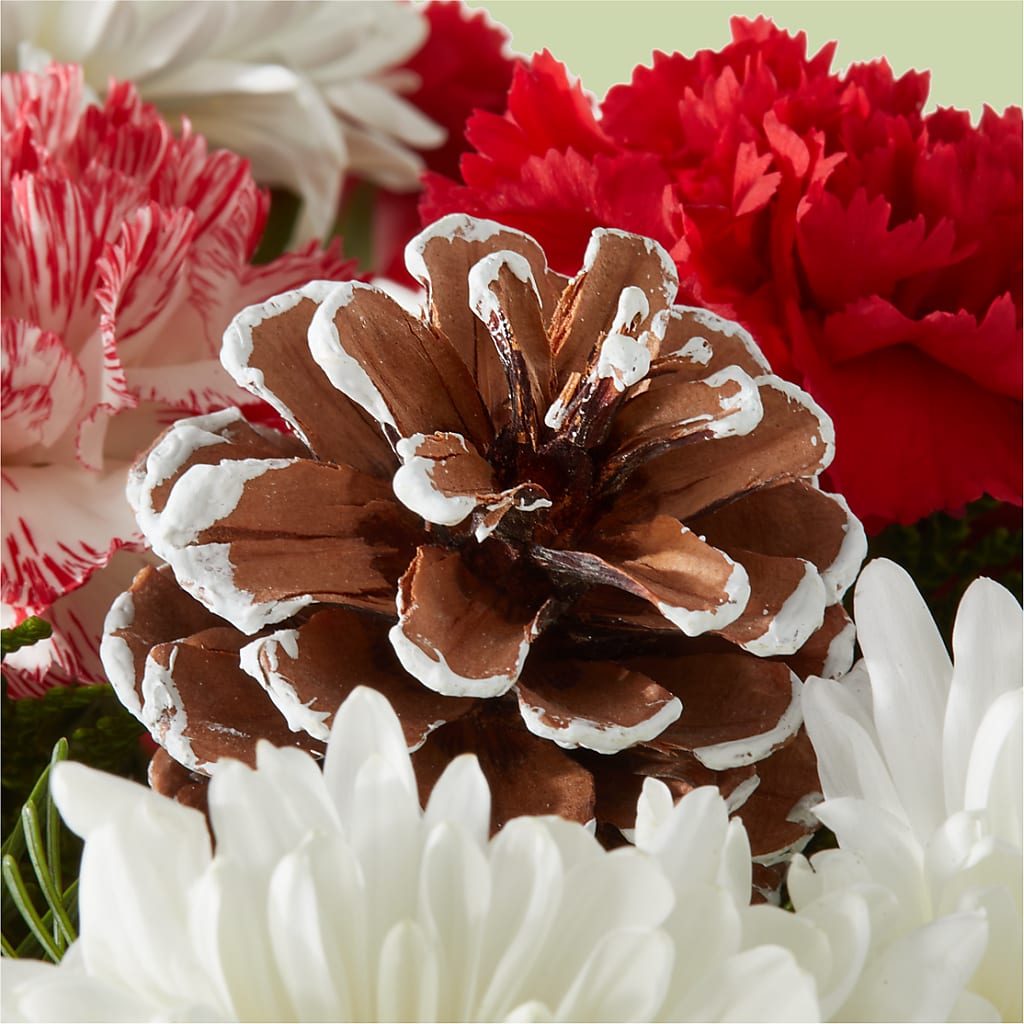 Candy Cane Lane Bouquet – KATHY'S FLOWERS, Adair OK