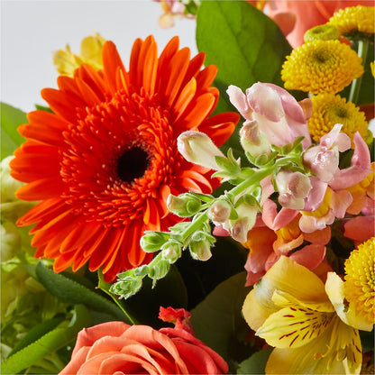 Autumn Sunshine Bouquet – KATHY'S FLOWERS, Adair OK