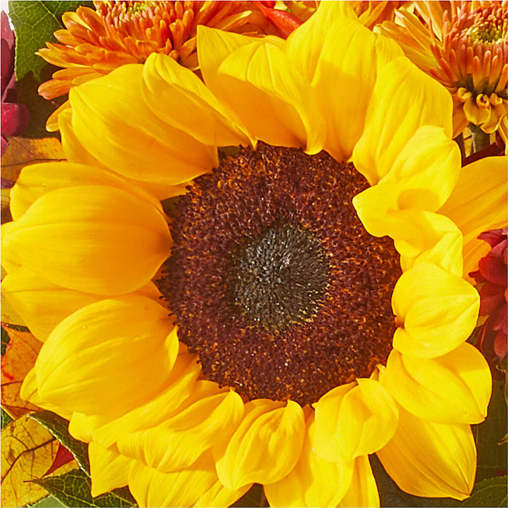 Sunny Side Bouquet – KATHY'S FLOWERS, Adair OK