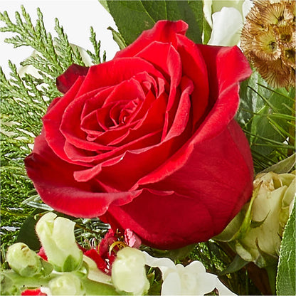 Deck the Halls Bouquet – KATHY'S FLOWERS, Adair OK