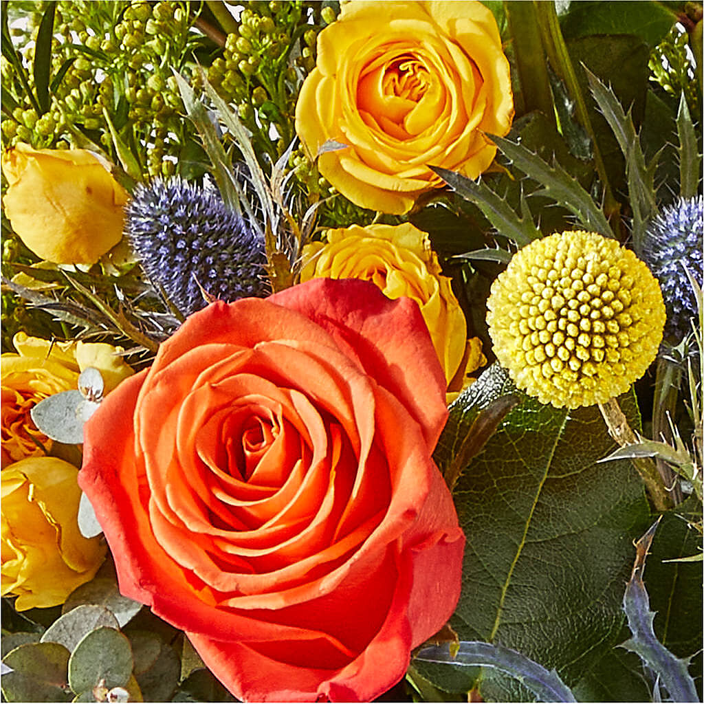 Disco Bouquet – KATHY'S FLOWERS, Adair OK