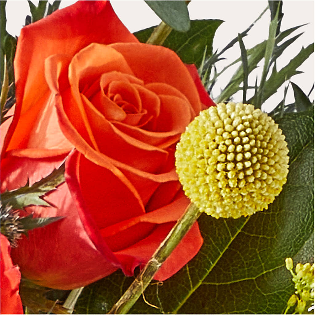 Disco Bouquet – KATHY'S FLOWERS, Adair OK