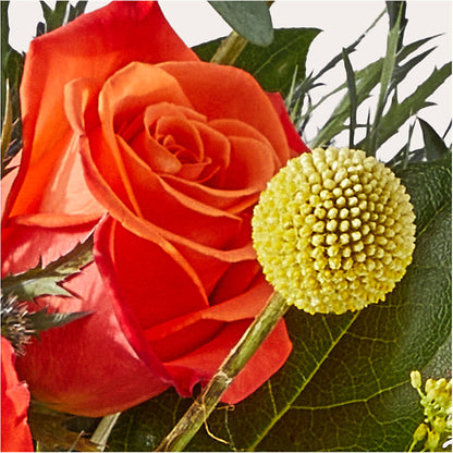 Disco Bouquet – KATHY'S FLOWERS, Adair OK