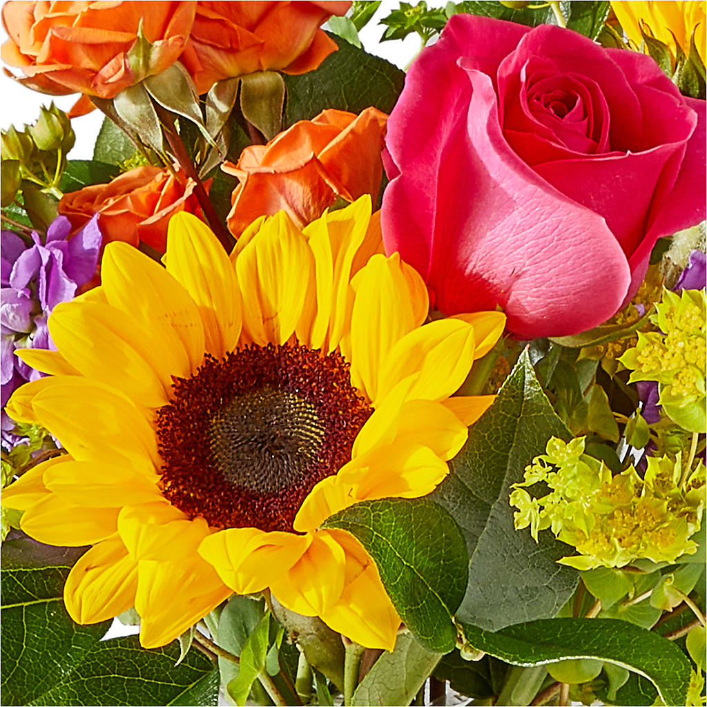 Vibrant Greetings Bouquet – KATHY'S FLOWERS, Adair OK