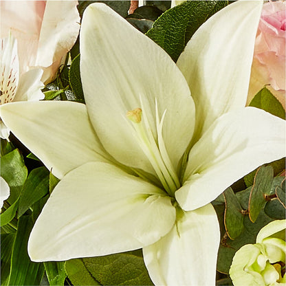 Ballet Slippers Bouquet – KATHY'S FLOWERS, Adair OK