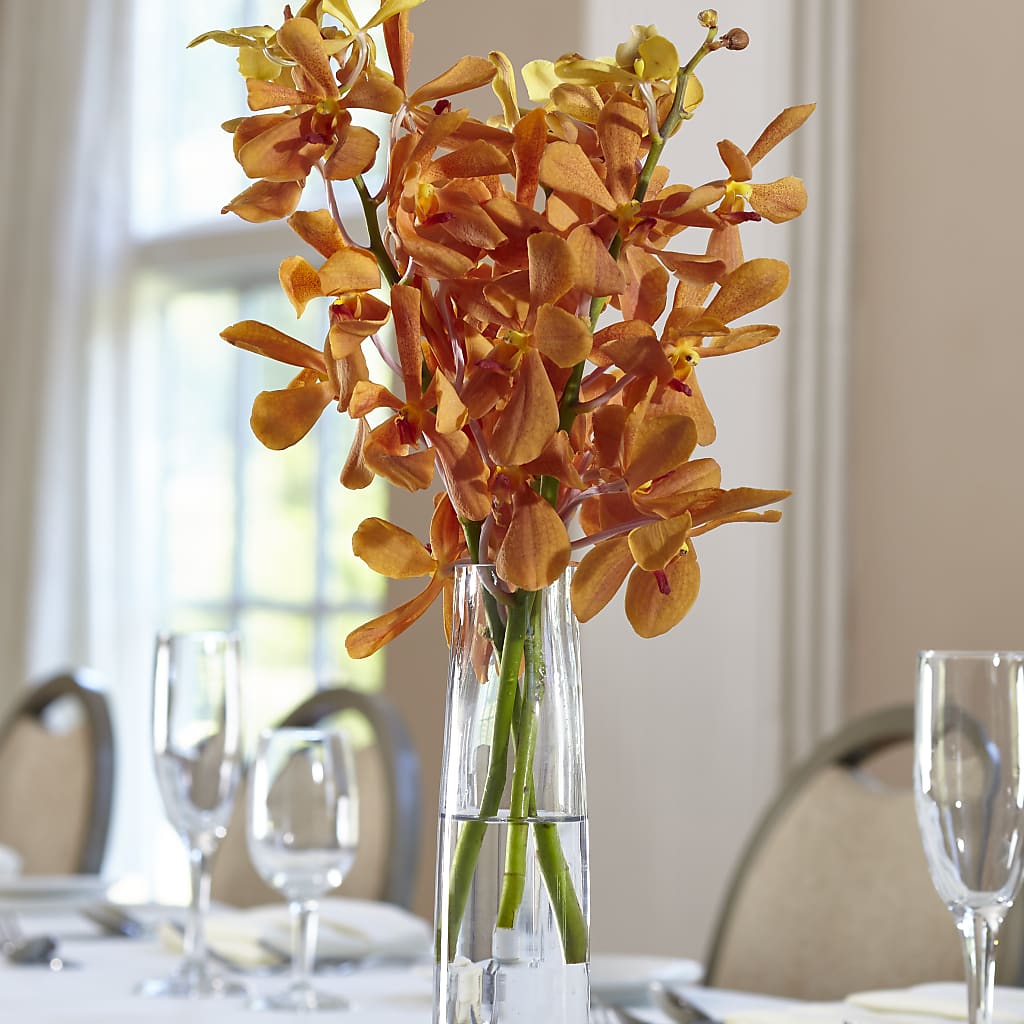 Orange Mokara Bud Vase – KATHY'S FLOWERS, Adair OK
