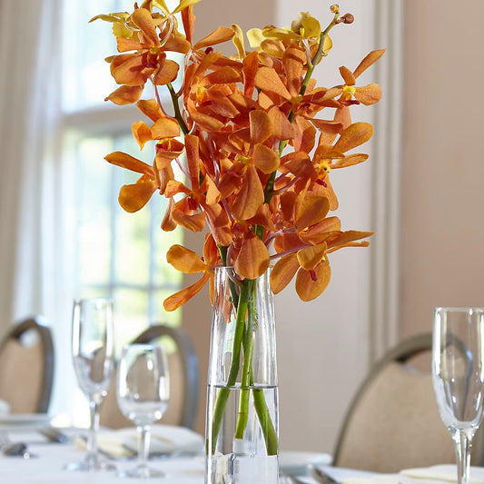 Orange Mokara Bud Vase – KATHY'S FLOWERS, Adair OK