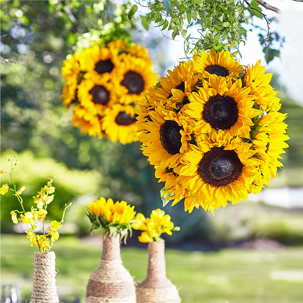 Sublime Garden Hanging Arrangement – KATHY'S FLOWERS, Adair OK